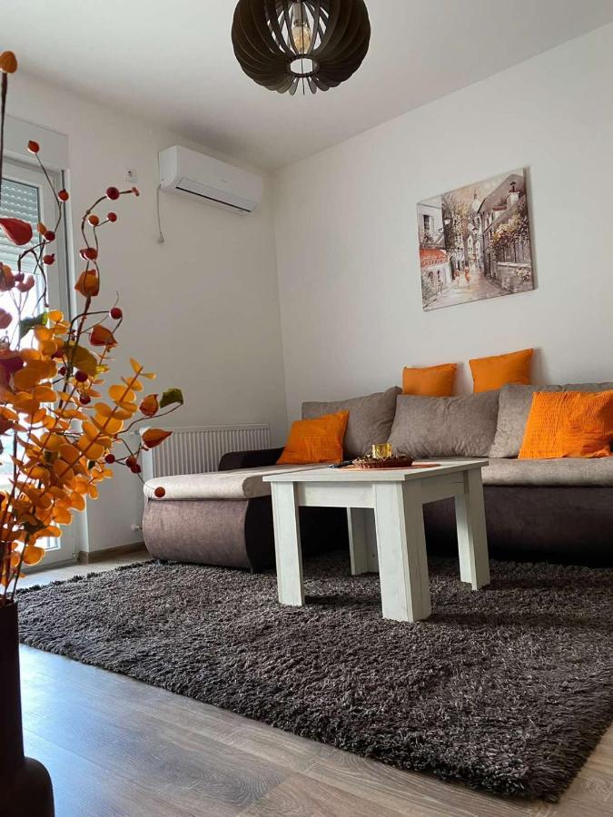 Apartmani Milic Баня-Ковиляча Экстерьер фото