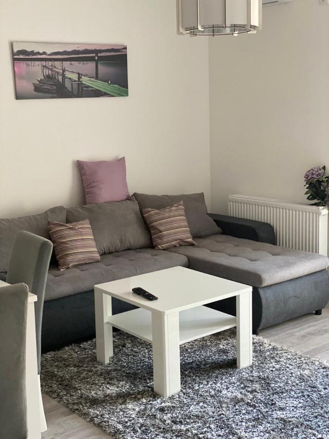 Apartmani Milic Баня-Ковиляча Экстерьер фото