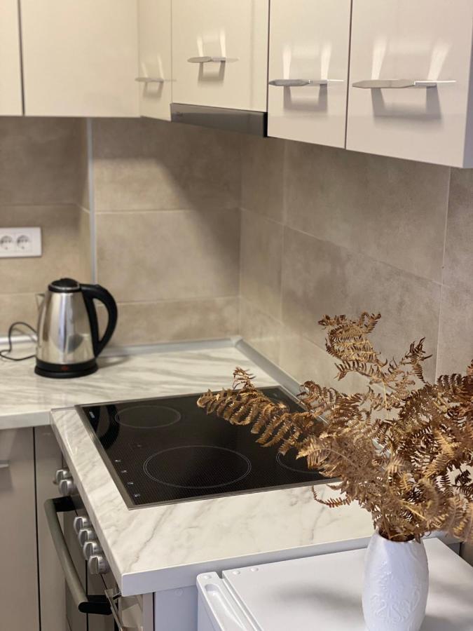 Apartmani Milic Баня-Ковиляча Экстерьер фото